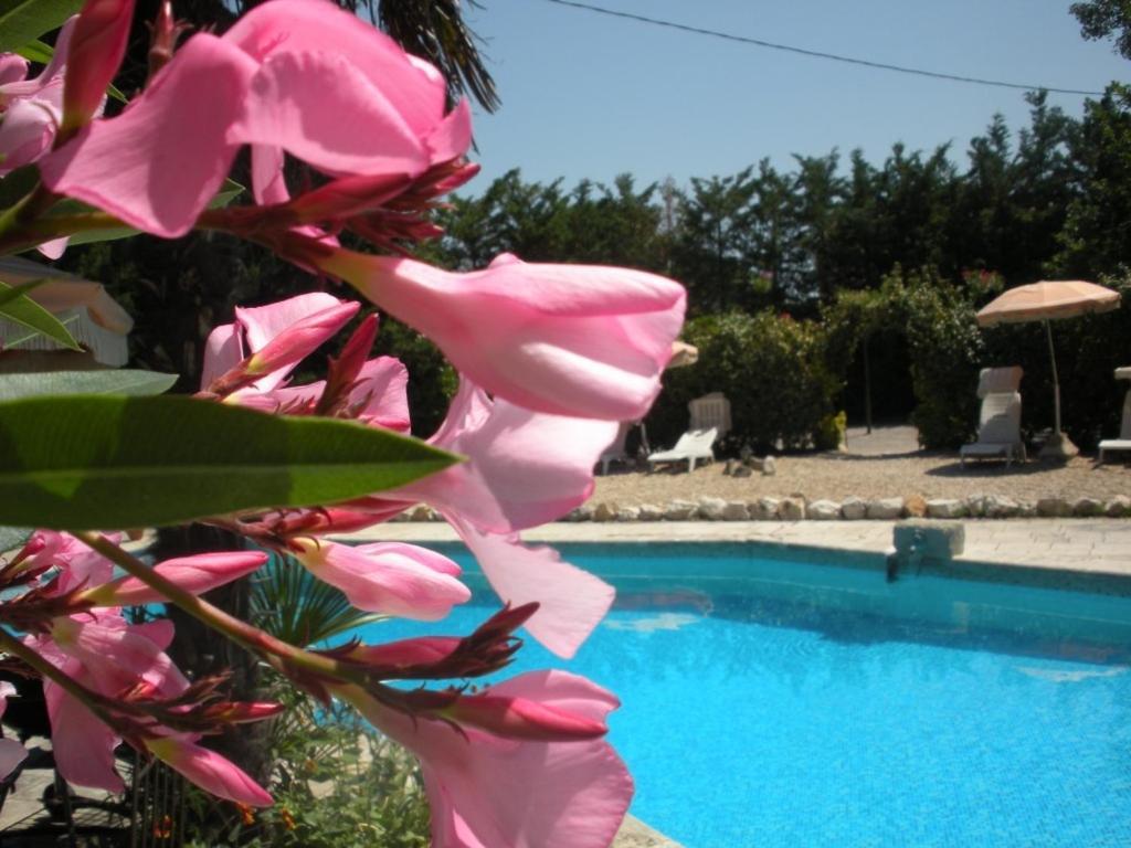 Gites Climatises Piscine Chauffee La Balancelle Saint-Remy-de-Provence Exterior photo