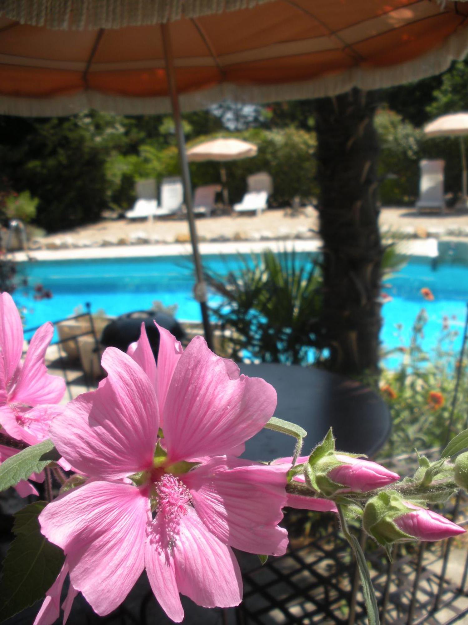 Gites Climatises Piscine Chauffee La Balancelle Saint-Remy-de-Provence Exterior photo